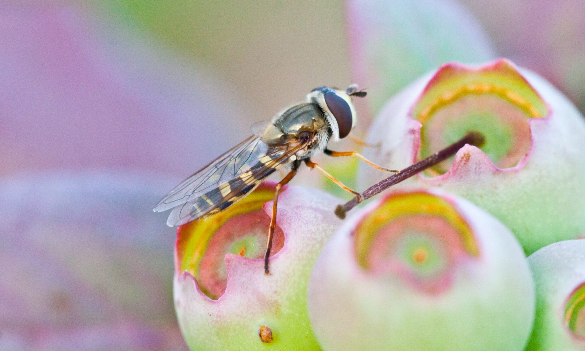 Jesús Quintano Sánchez